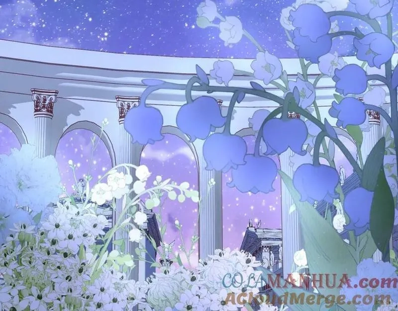 狄奥多之歌,第177话 她的决定,第9张