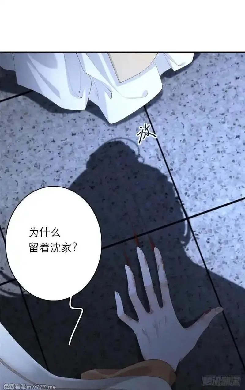 重生之将门毒后,1 重生,第27张