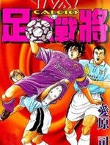 足球戰將