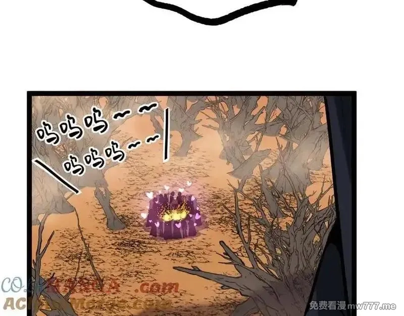 网游：神级刺客，我即是暗影,第16话 花开诅咒,第101张