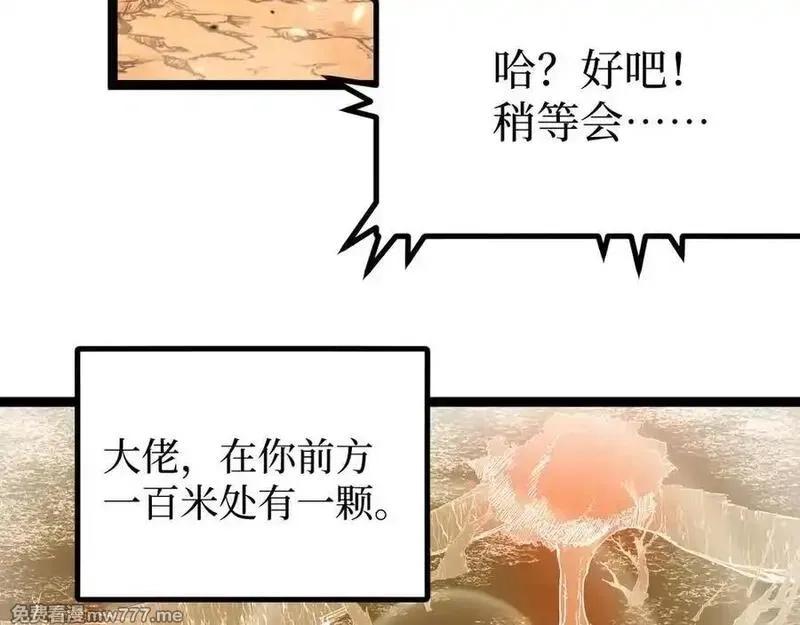 网游：神级刺客，我即是暗影,第16话 花开诅咒,第20张