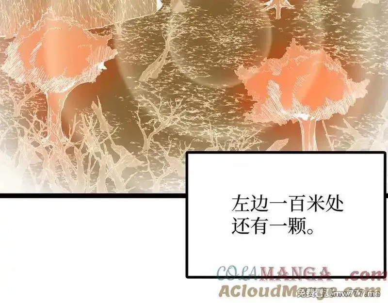 网游：神级刺客，我即是暗影,第16话 花开诅咒,第21张