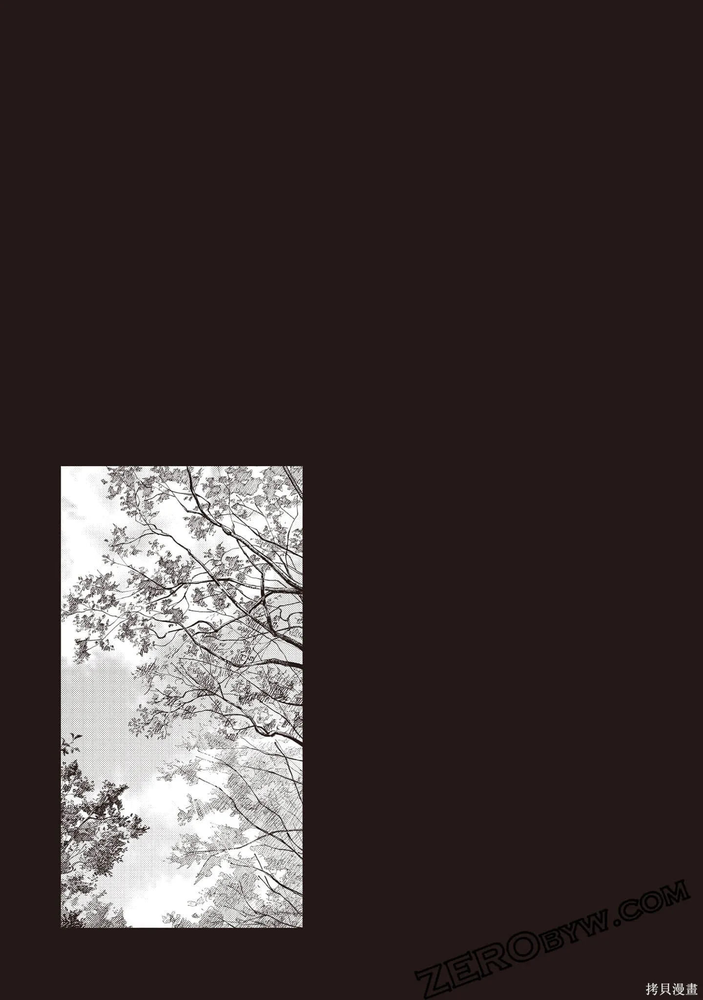 DYS CASCADE,第04卷,第81张