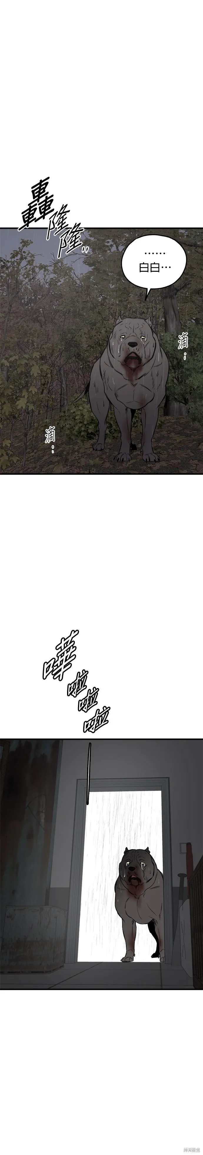 狗狗逃亡記,第70話,第21张