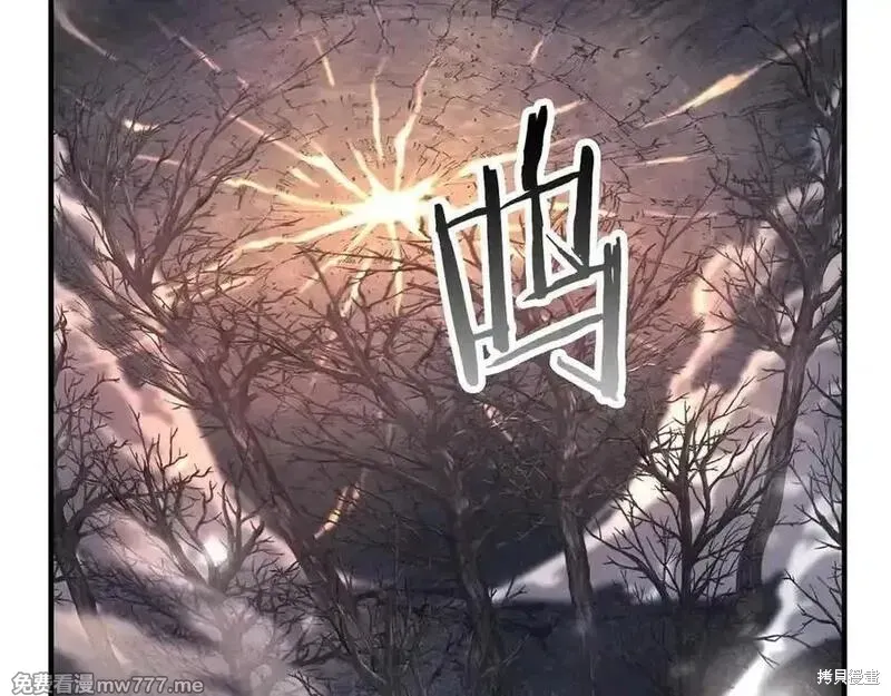 死靈法師:重生的我全技能精通,第66话,第339张