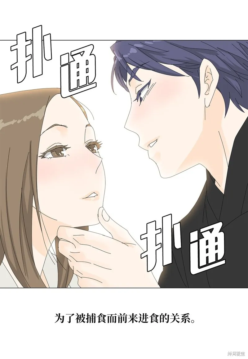 吸血鬼厨师,番外01,第26张