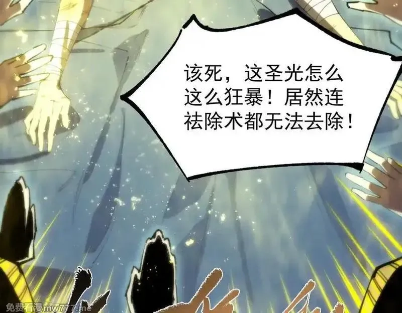 SSS级超越常理的圣骑士,第47话 周芸的职业？,第11张