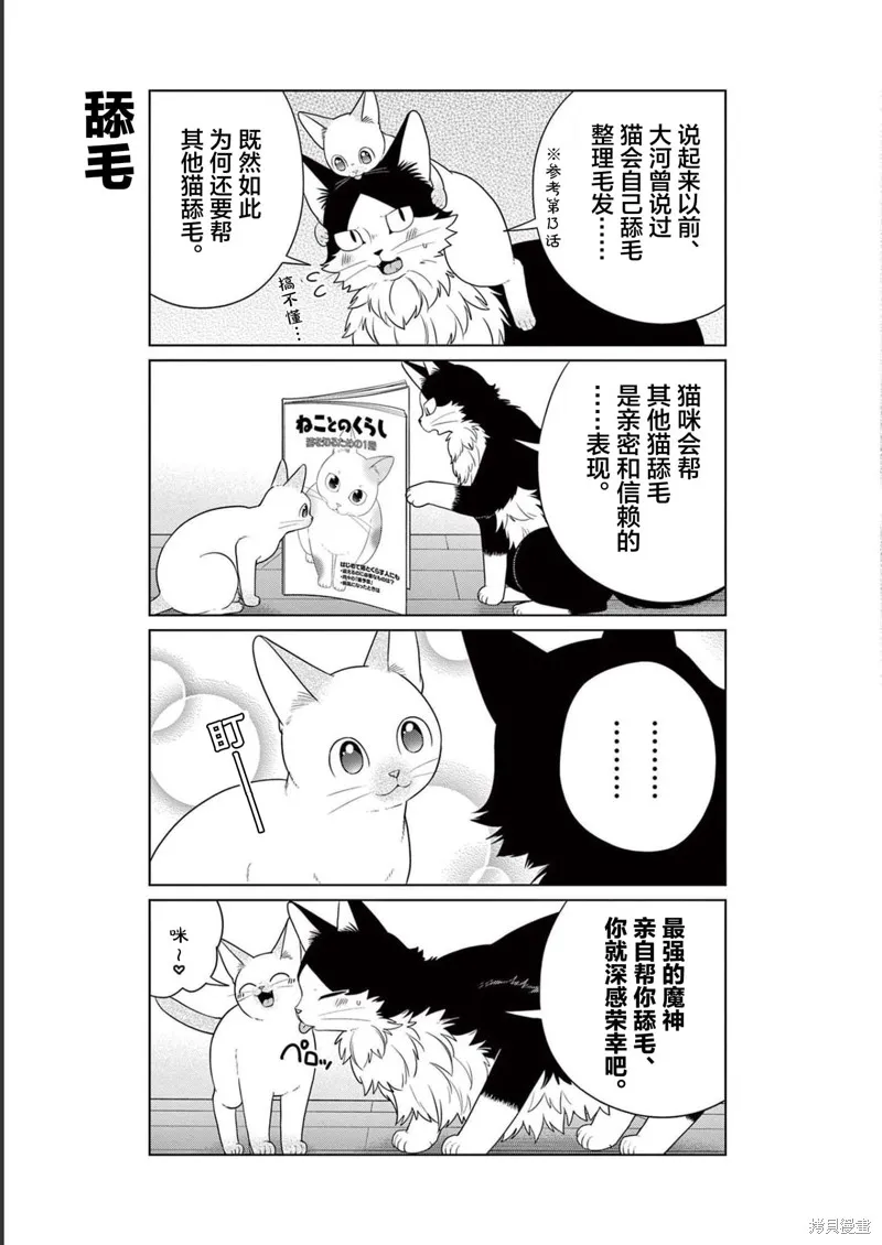 成為貓咪的奴隸吧,第28話,第17张