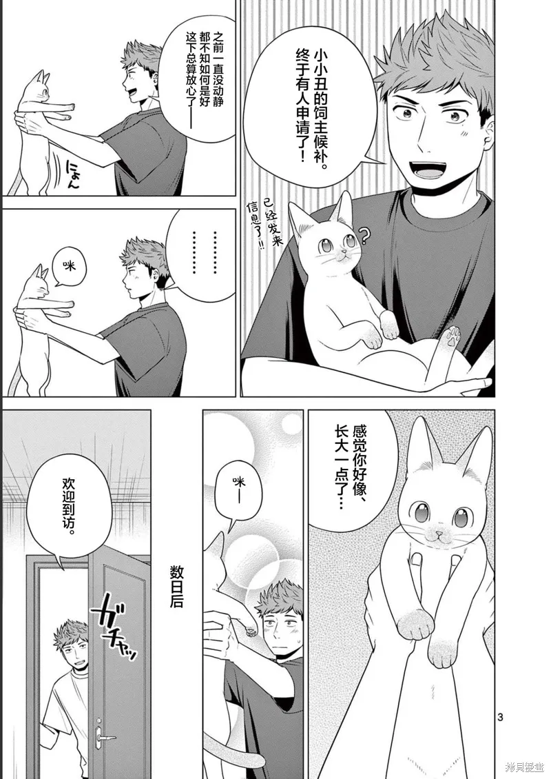 成為貓咪的奴隸吧,第28話,第3张