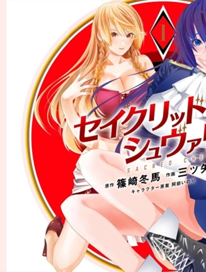 神圣骑士漫画封面