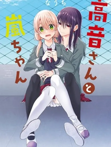 高音與嵐漫画封面