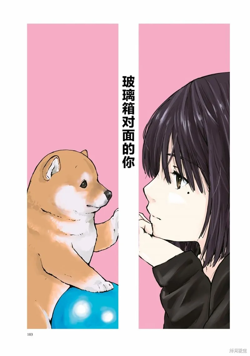 世界末日柴犬為伴,第26.5话,第1张