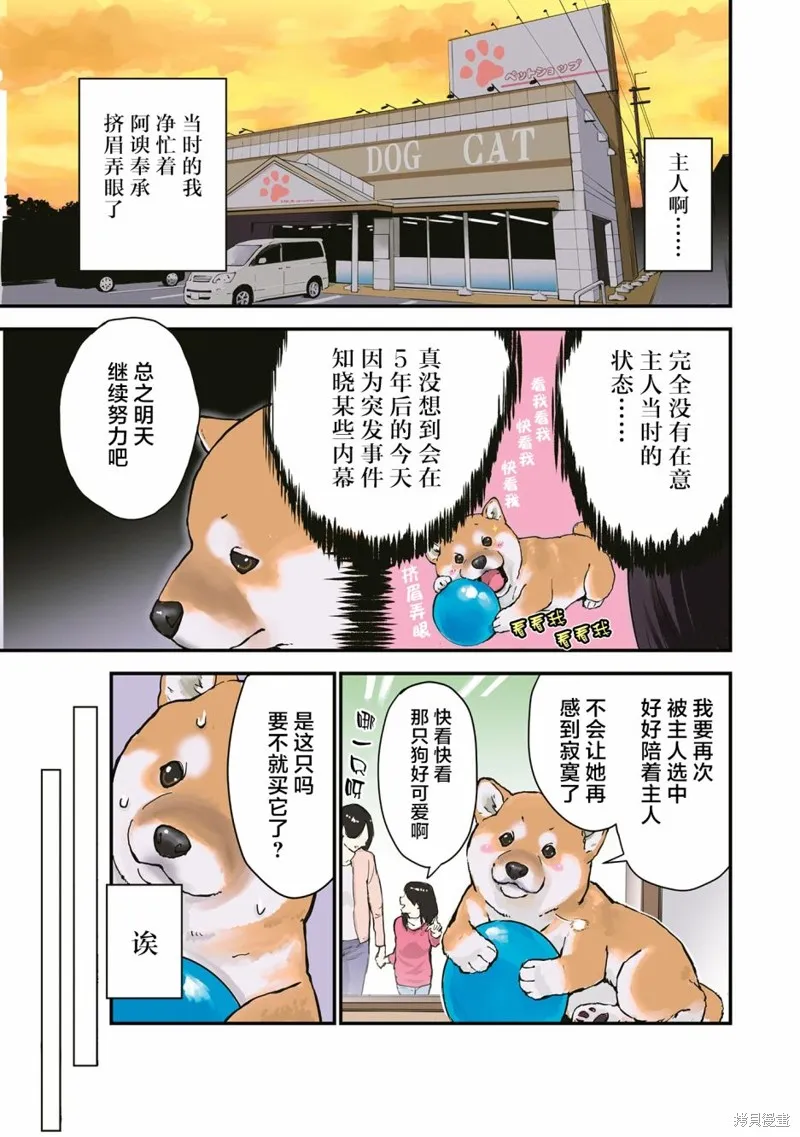 世界末日柴犬為伴,第26.5话,第11张
