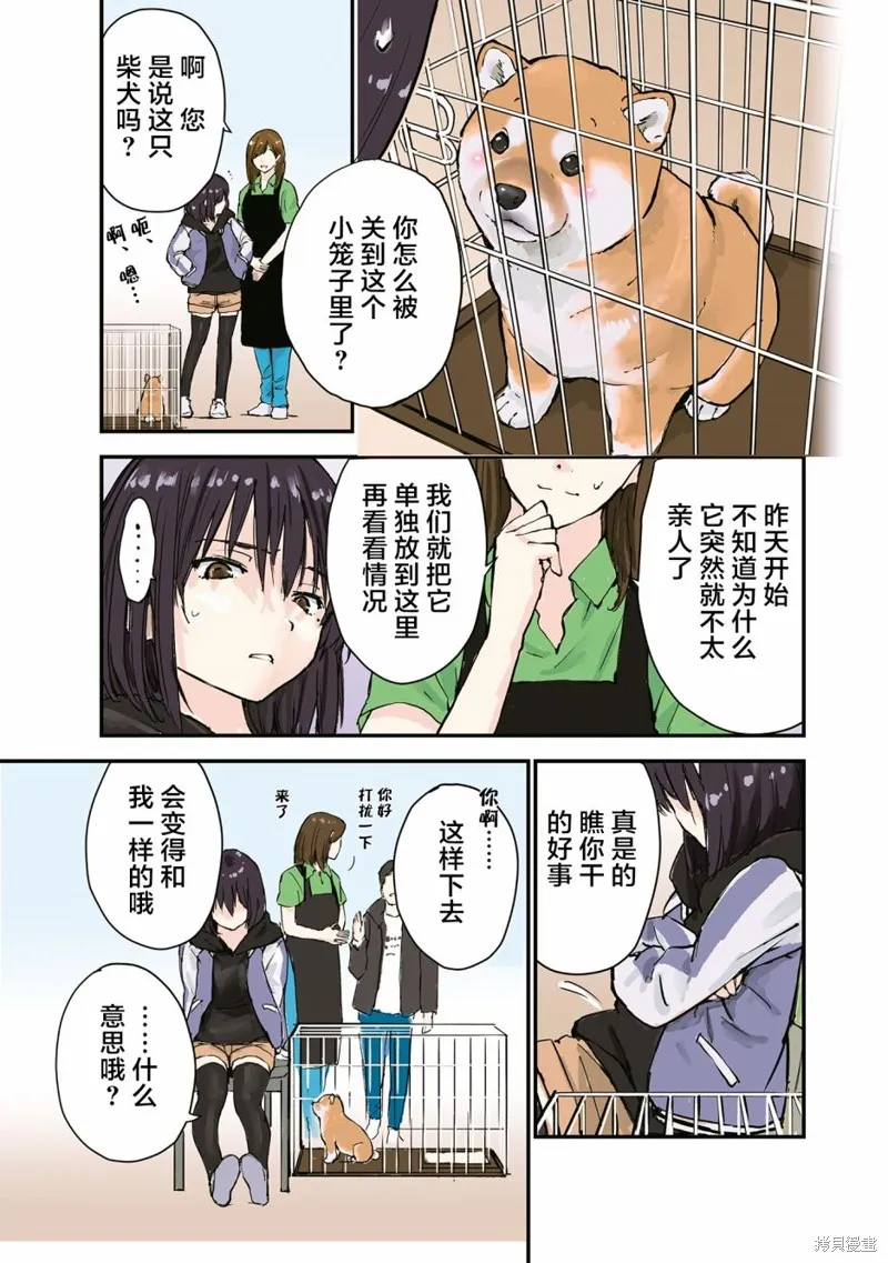 世界末日柴犬為伴,第26.5话,第13张