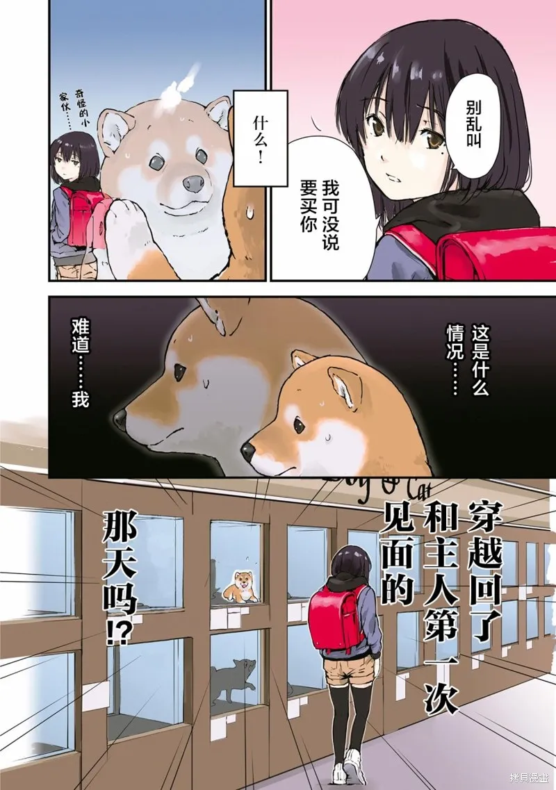 世界末日柴犬為伴,第26.5话,第4张