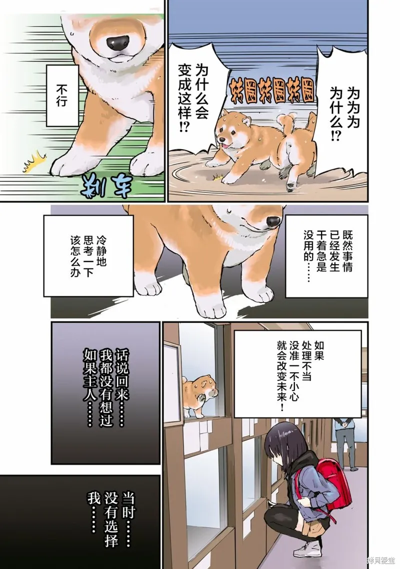 世界末日柴犬為伴,第26.5话,第5张