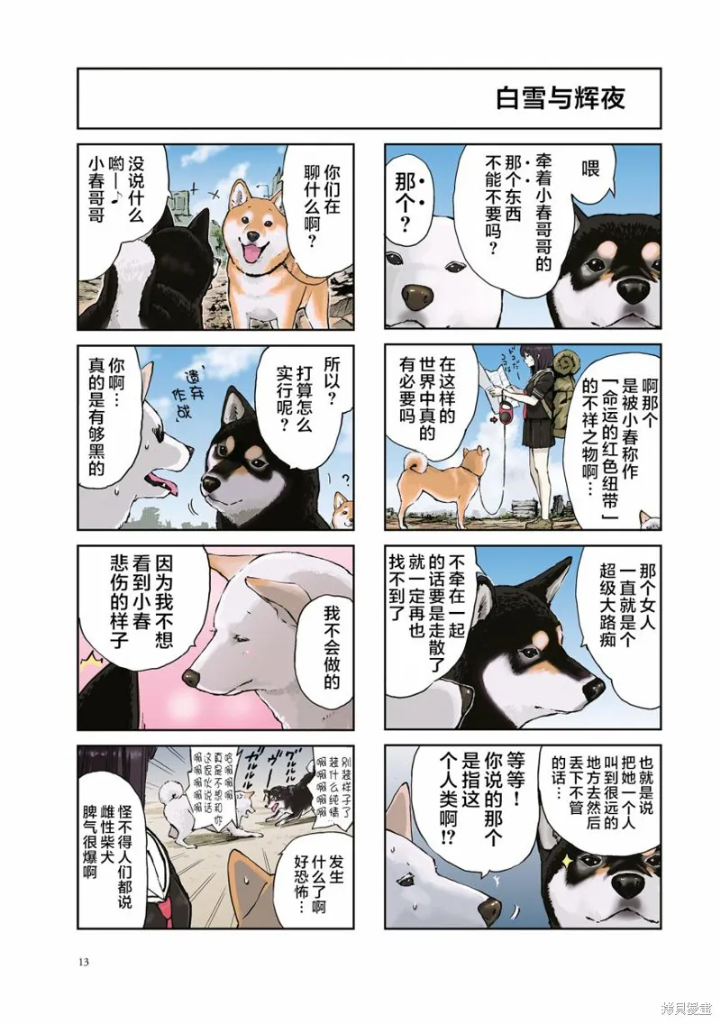 世界末日柴犬為伴,第17话,第5张
