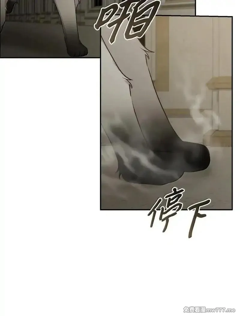 黑幕的年幼资助人,98 做出决定,第75张