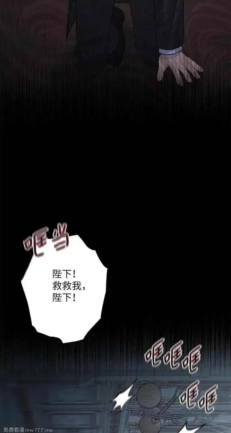 黑幕的年幼资助人,94 攻入皇宫,第49张