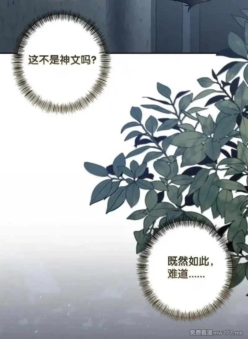 黑幕的年幼资助人,94 攻入皇宫,第72张
