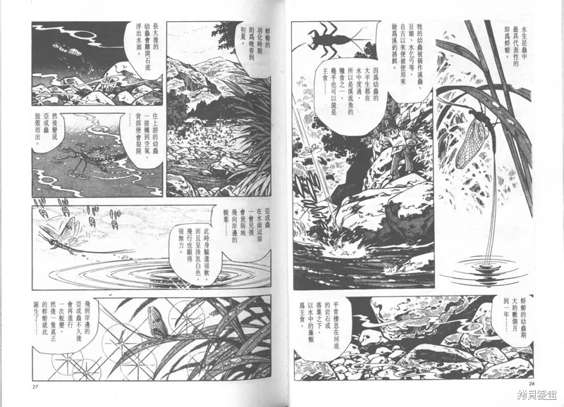 天才小釣手,VOL24,第14张