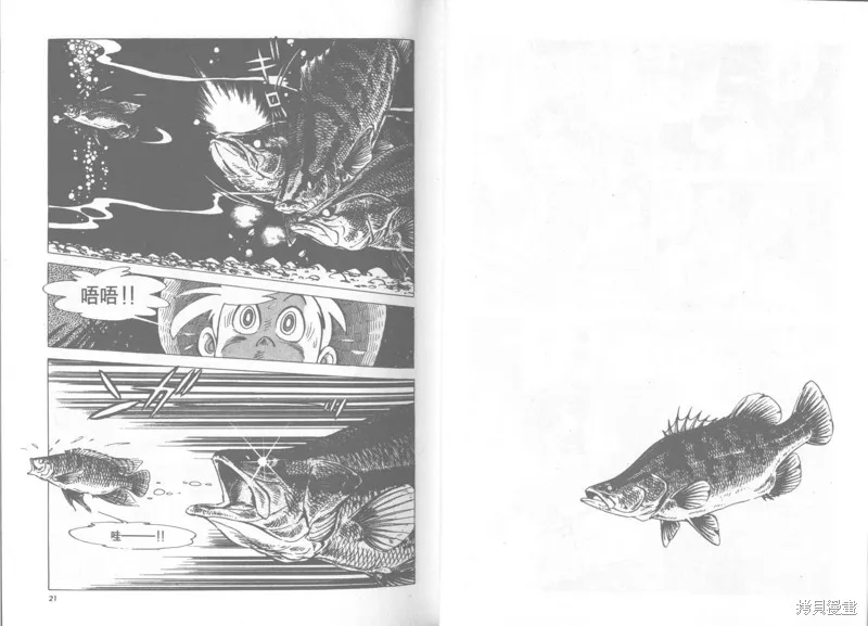 天才小釣手,VOL22,第11张