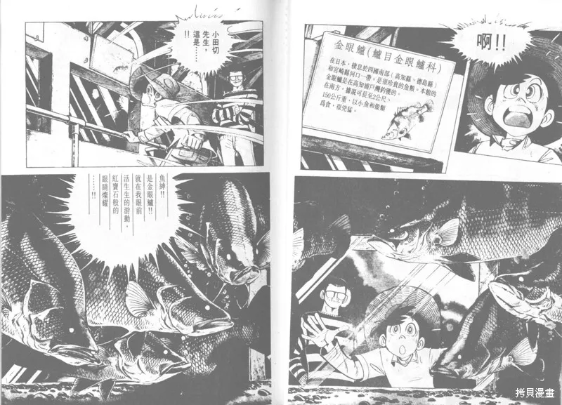 天才小釣手,VOL22,第8张