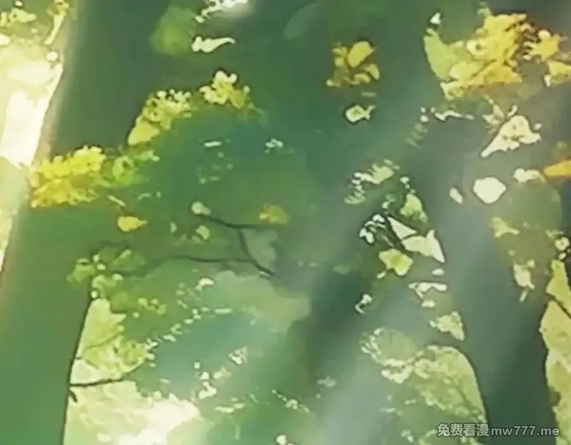 遇强则强，我的修为无上限,第16话 罗天秘境,第72张
