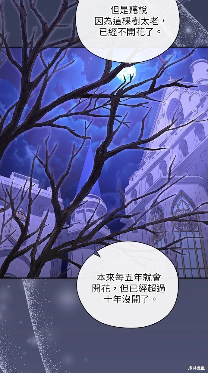 後院盛開的紫羅蘭,第31話,第55张
