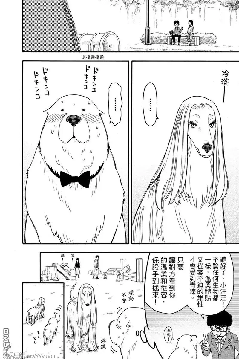 间谍过家家,第10卷,第185张