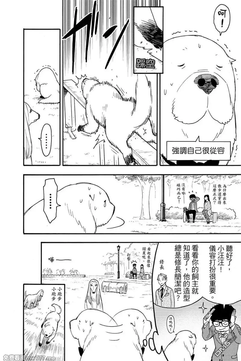 间谍过家家,第10卷,第187张