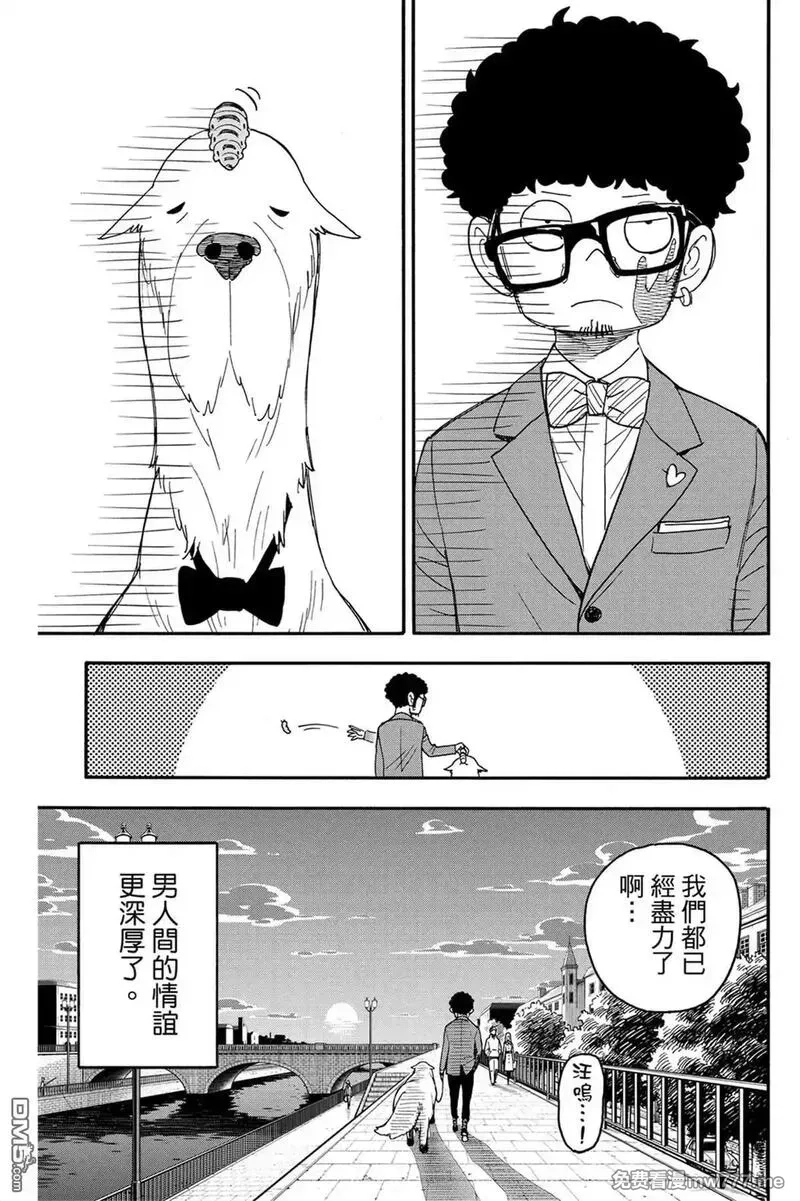 间谍过家家,第10卷,第191张