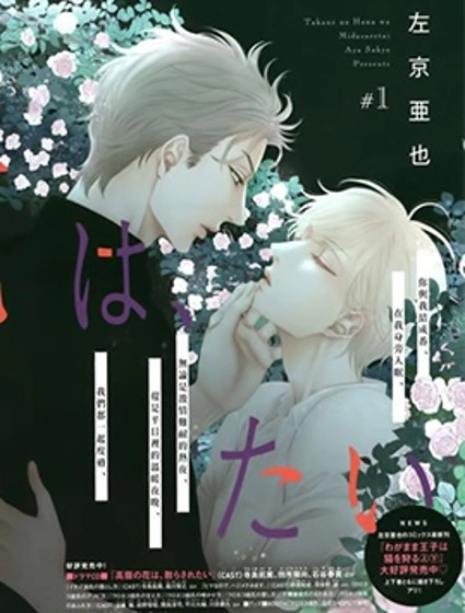 高嶺之花、意亂情迷漫画封面