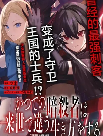 曾经的刺客转生后踏上了不同的路漫画封面
