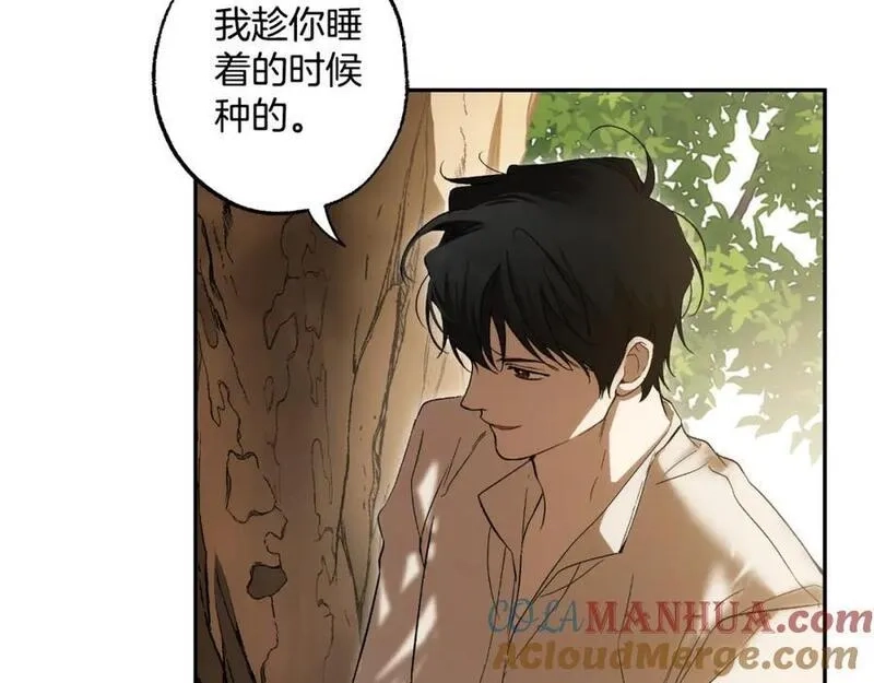 一切都是错觉,第114话 树上求婚,第93张