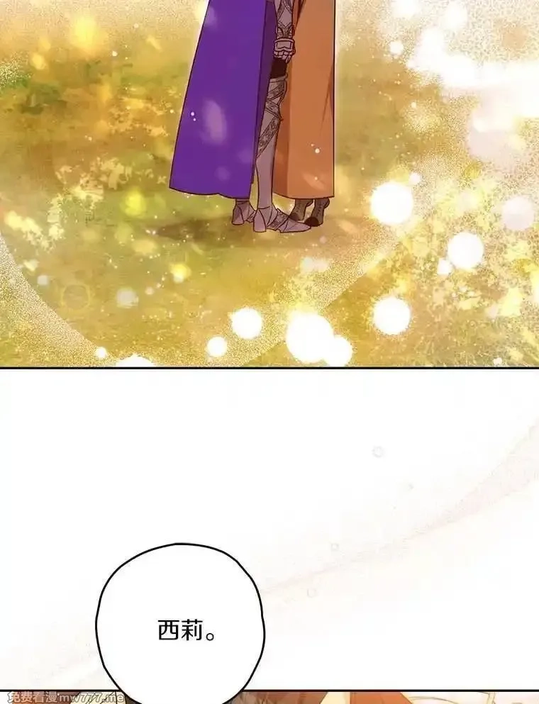 西格莉德,111.骑士的责任,第23张