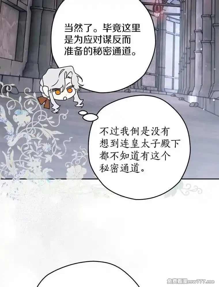西格莉德,111.骑士的责任,第32张