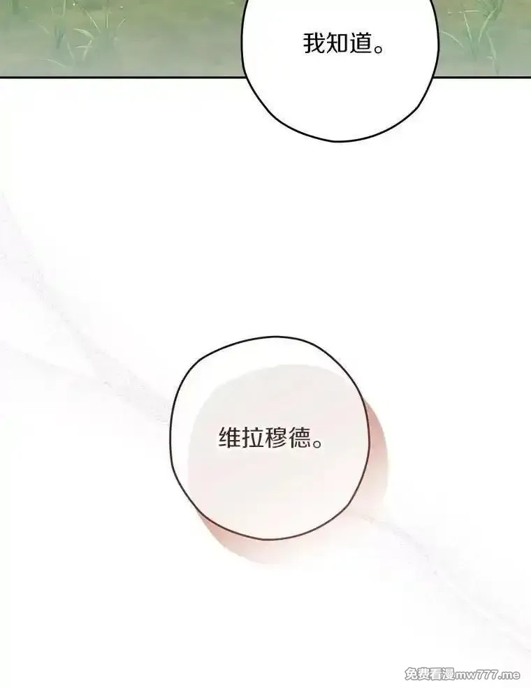 西格莉德,111.骑士的责任,第8张