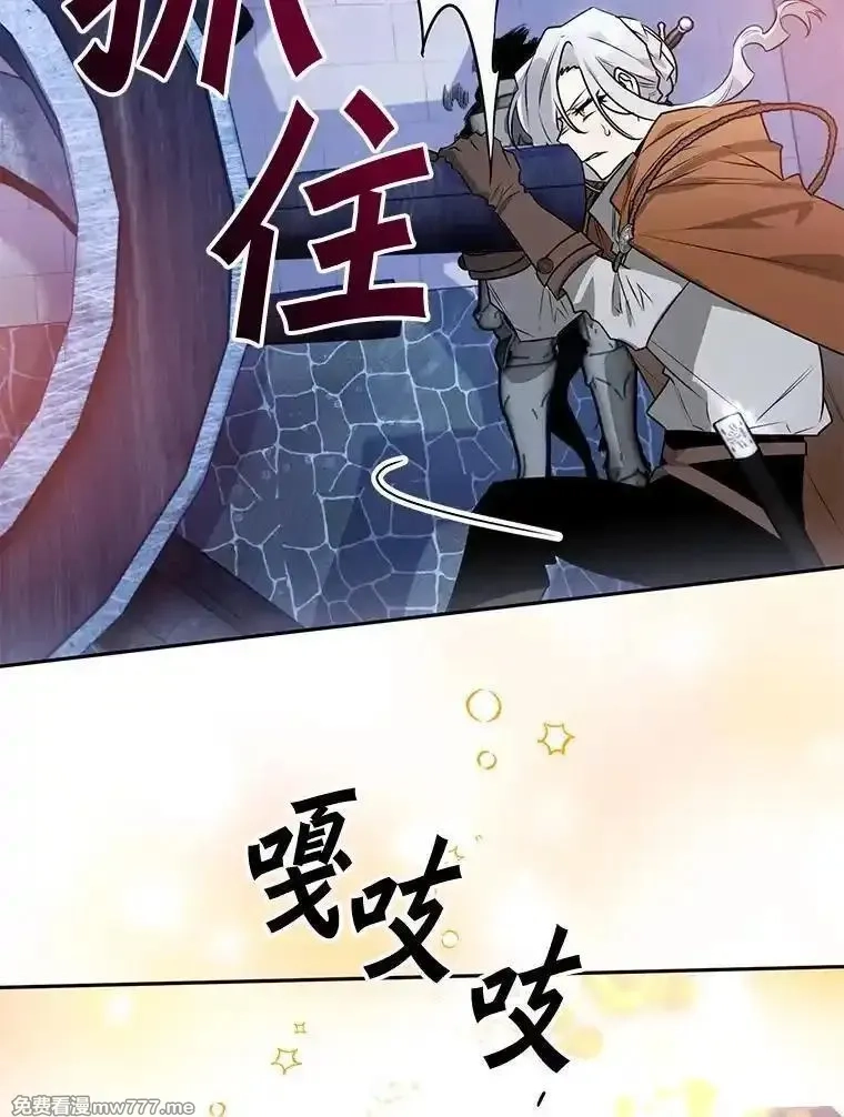 西格莉德,111.骑士的责任,第83张