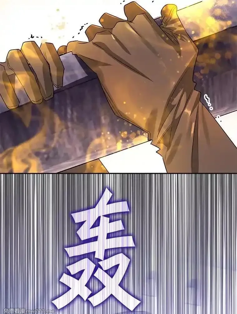 西格莉德,111.骑士的责任,第84张
