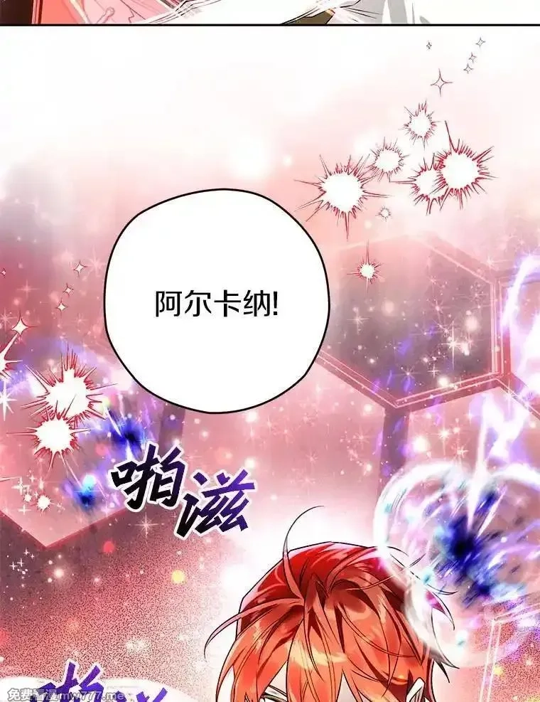西格莉德,113.万事俱备,第45张