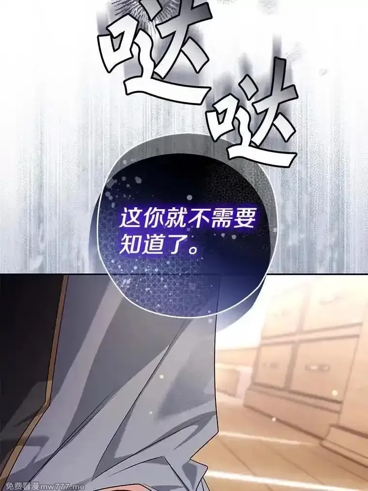 西格莉德,98.魔法师的地位,第10张