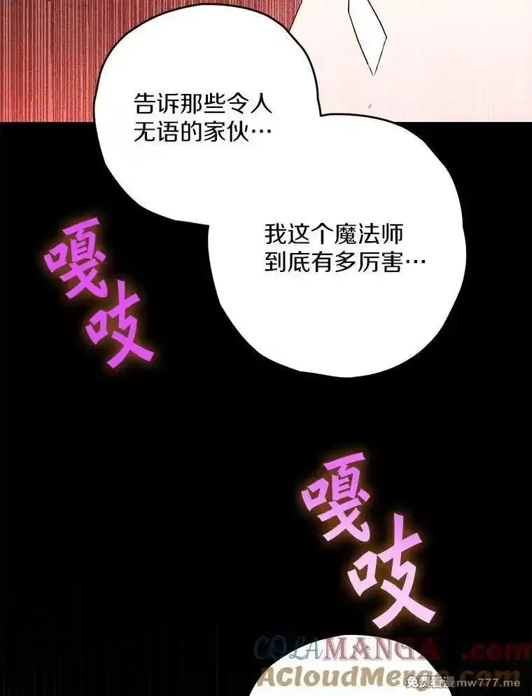 西格莉德,98.魔法师的地位,第105张