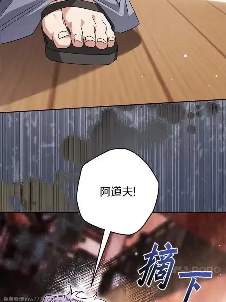 西格莉德,98.魔法师的地位,第11张