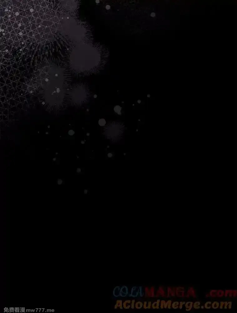 西格莉德,98.魔法师的地位,第113张