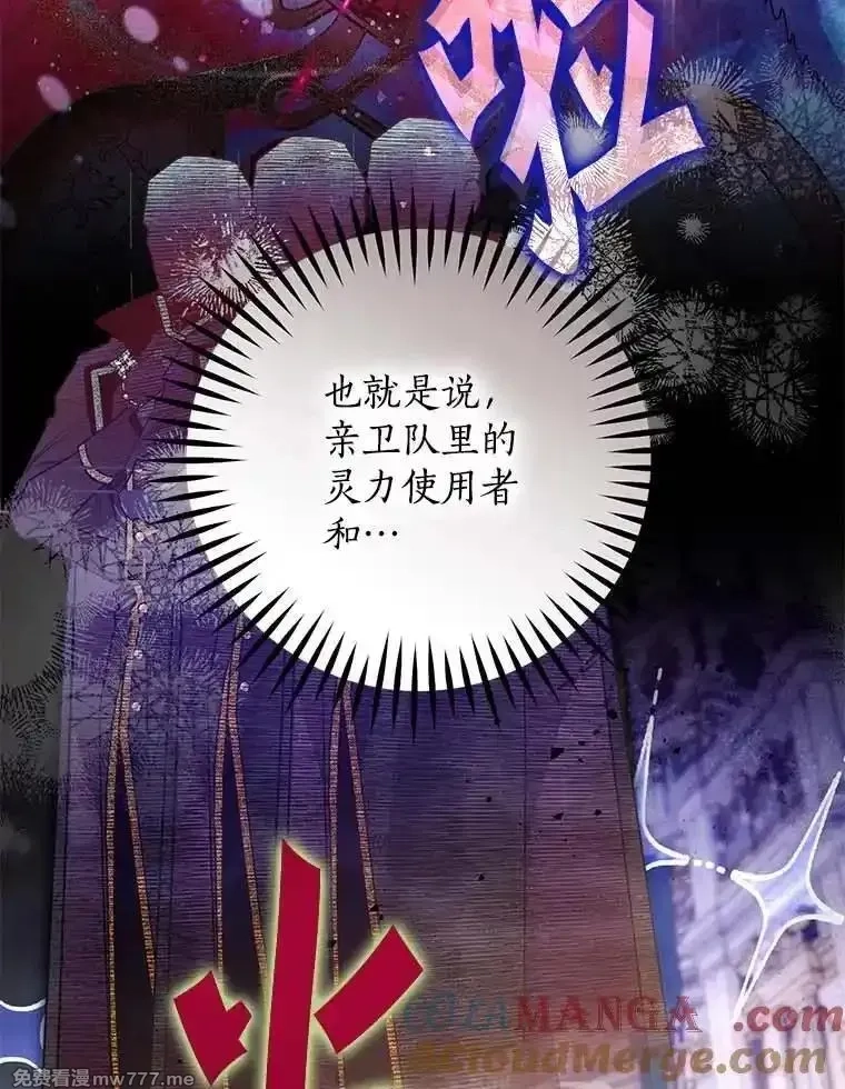 西格莉德,98.魔法师的地位,第25张