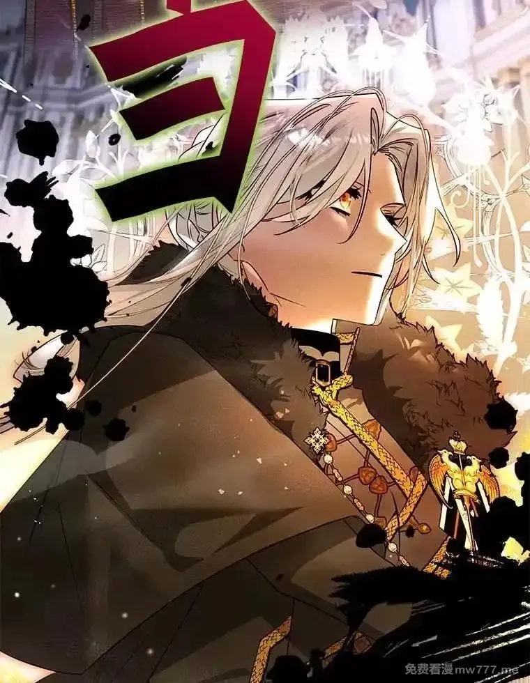 西格莉德,98.魔法师的地位,第26张