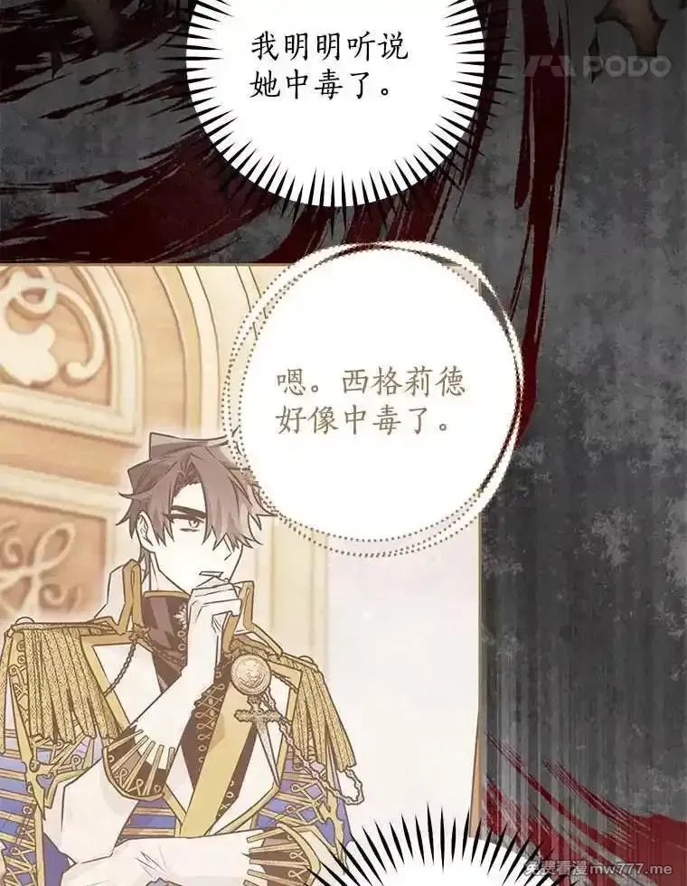 西格莉德,98.魔法师的地位,第28张