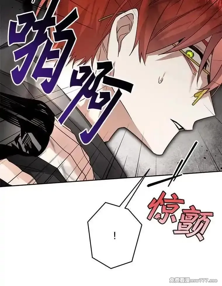 西格莉德,98.魔法师的地位,第30张