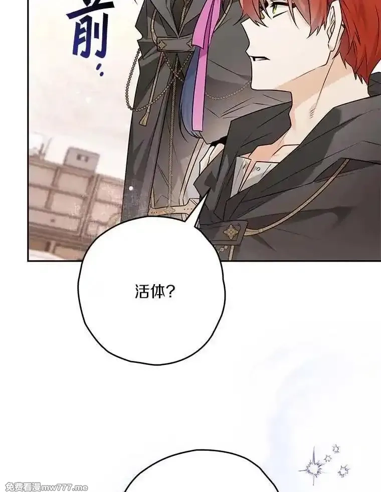 西格莉德,98.魔法师的地位,第32张